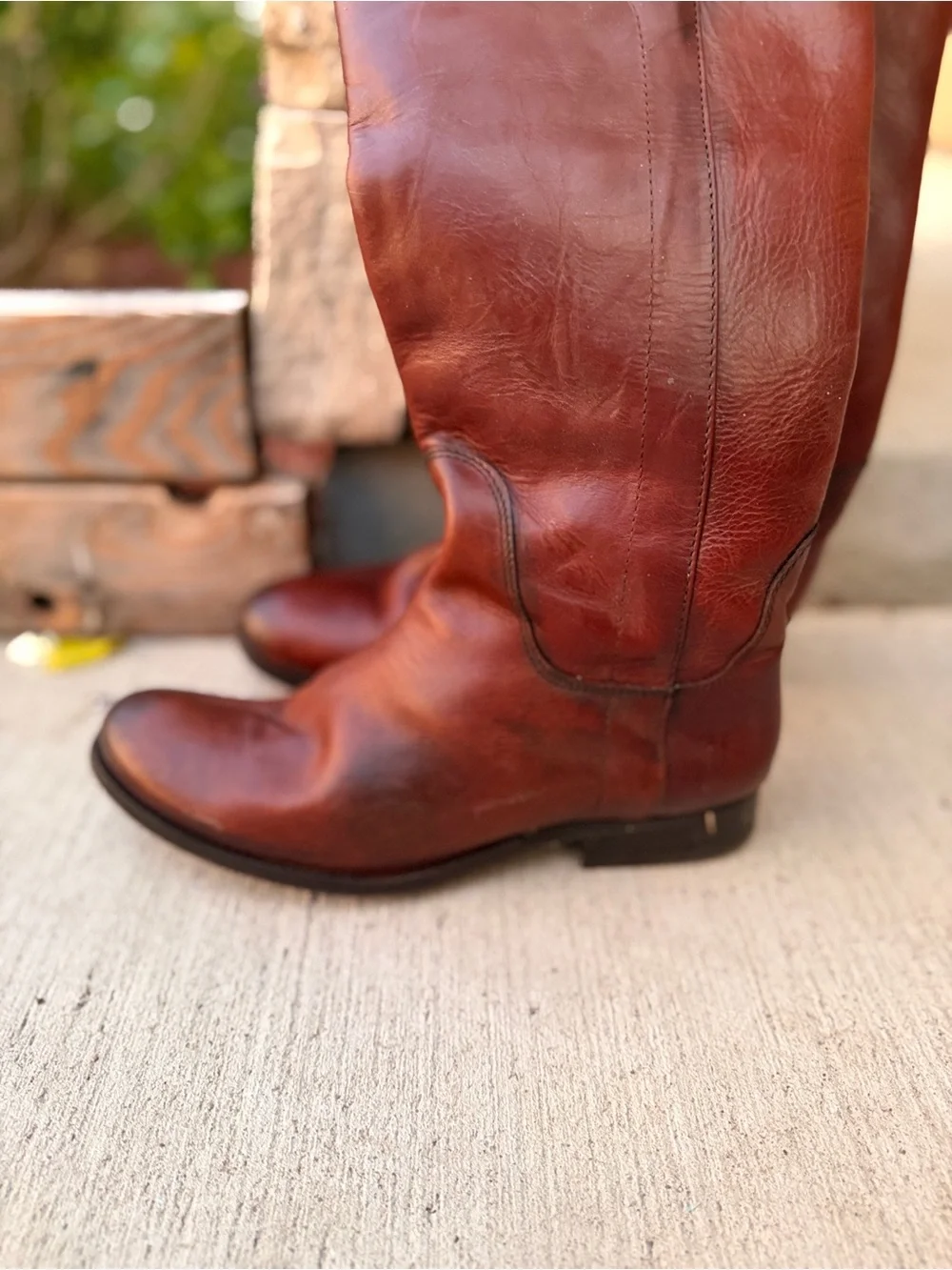 Frye Classic Tall Leather Riding Boots - Brown